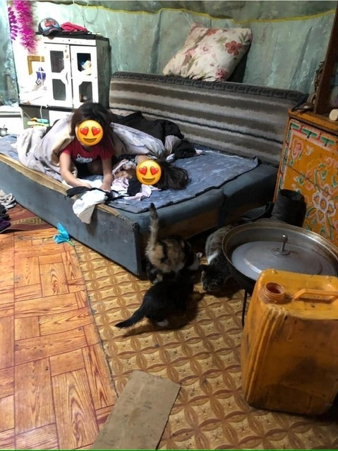 -40℃の寒さの中