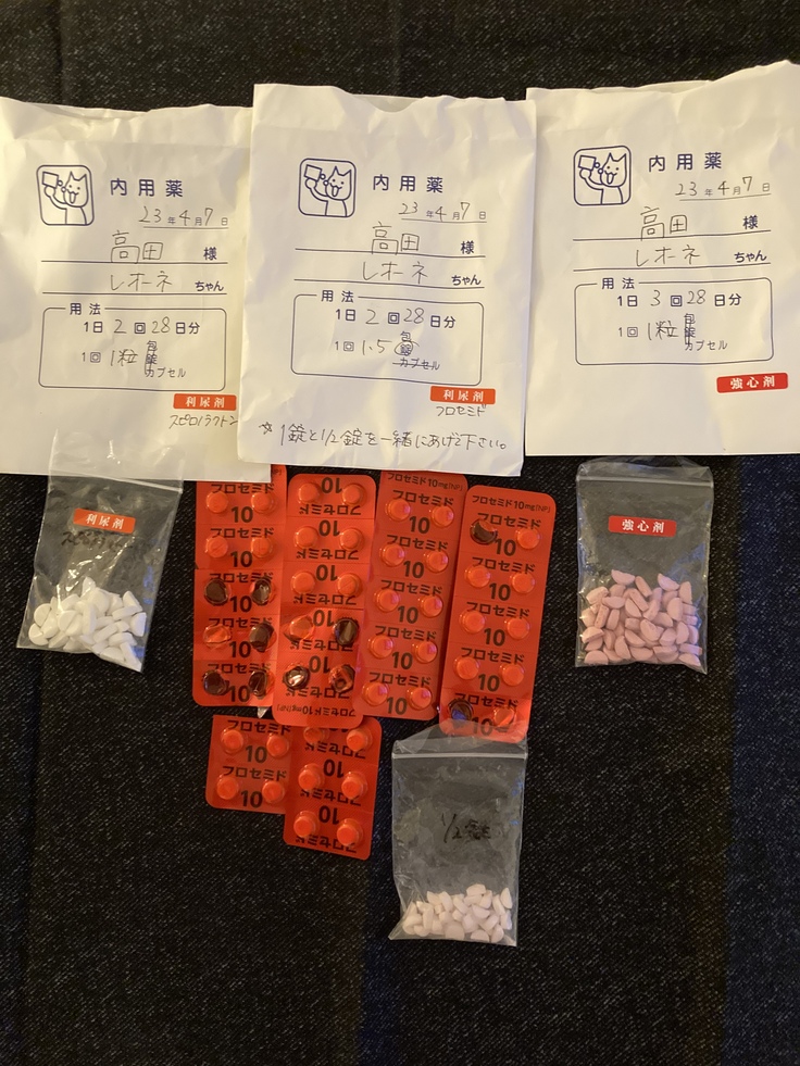 退院後の内服薬