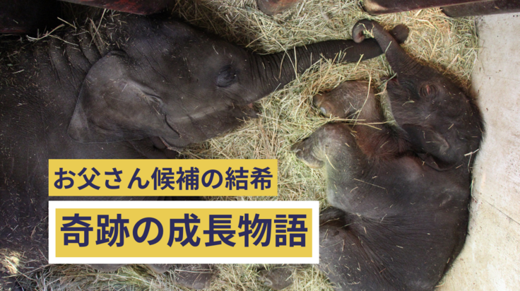 お父さん候補「結希」が育児を受けられなくなったが、それを乗り越え