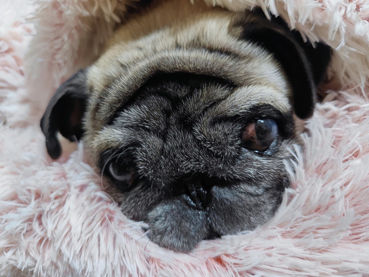 初ライブに参加😊