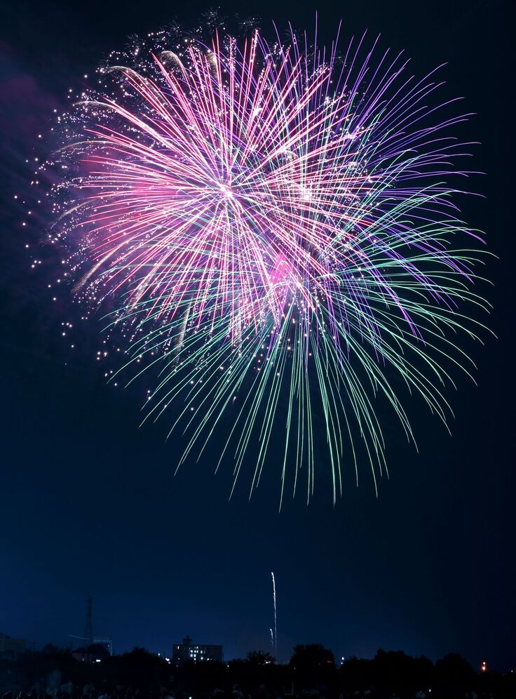 過去の市民納涼花火大会の様子