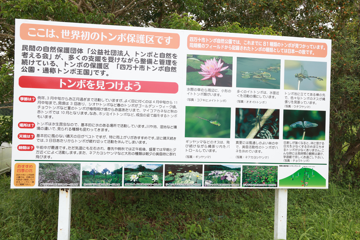 トンボ観察ガイド看板