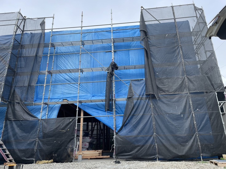 2023年6月12日撮影