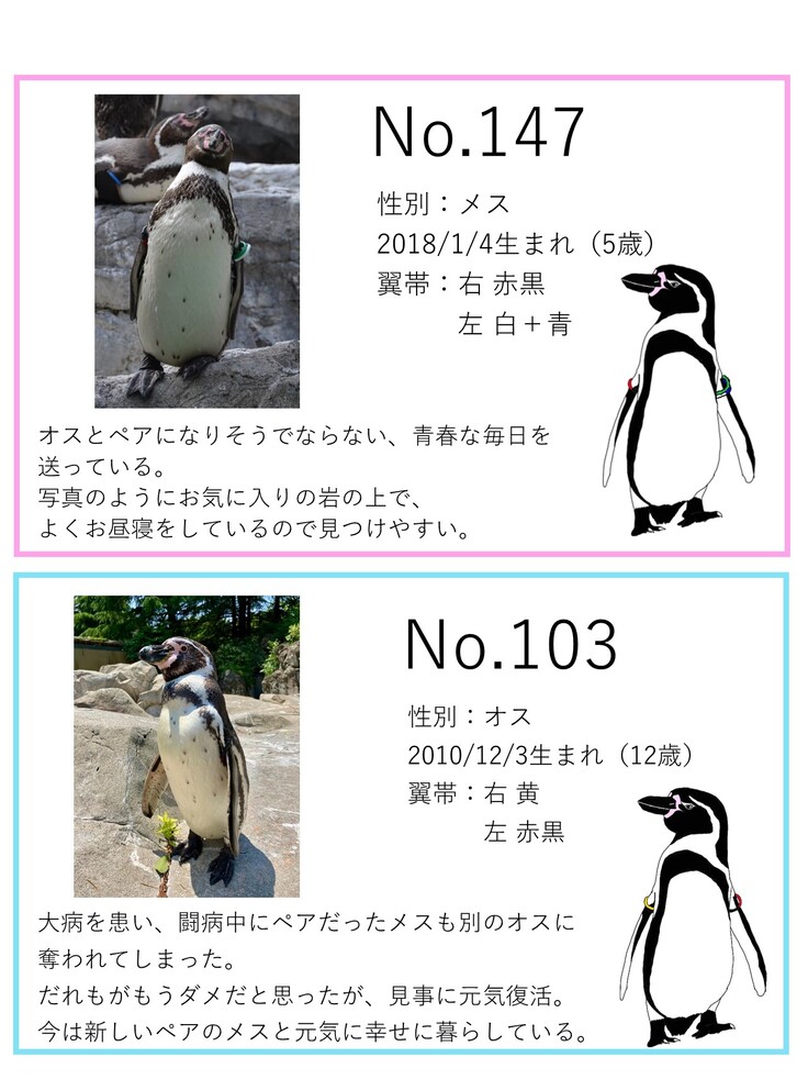 フンボルトペンギンさんのご専用です - www.flexio.cz