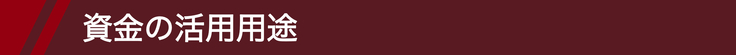 資金の活用用途