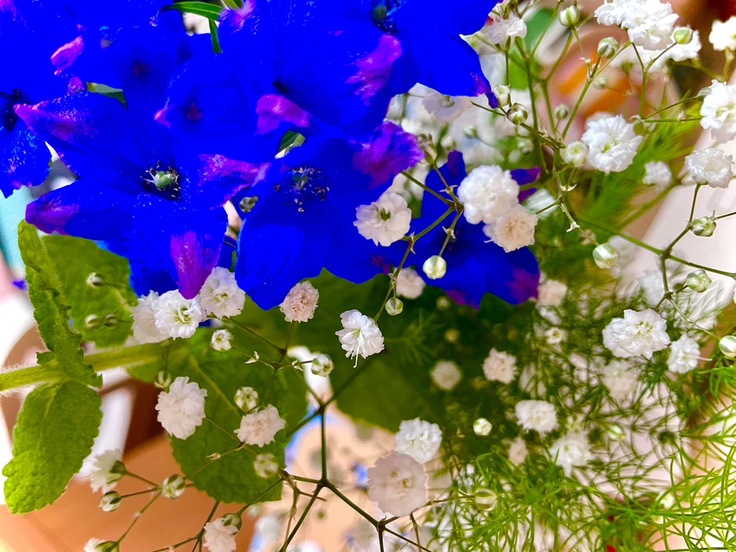 誕生日にもらった花