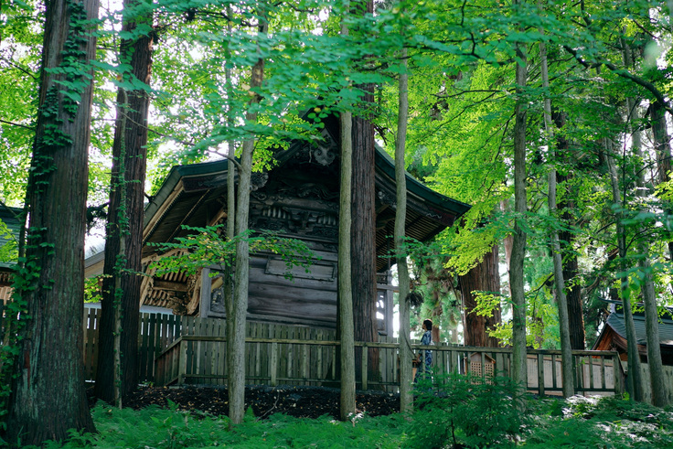 本殿裏三羽のうさぎ