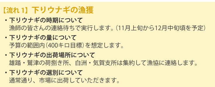 【流れ1】下りウナギの漁獲