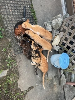 随分長い間、トラブル問題を生じていた現場だそうです。