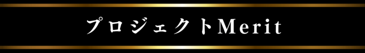 プロジェクトMerit