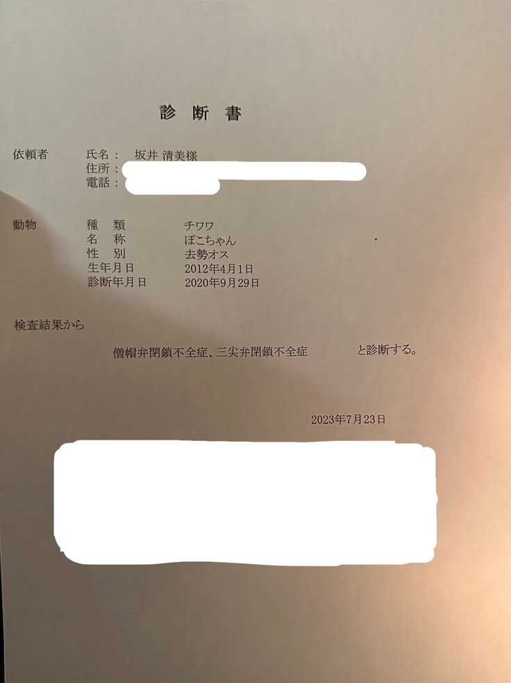 診断書