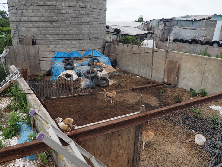 屋外での収容場所