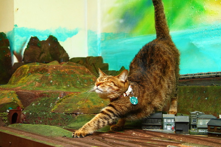 サラお母さんも皆様へ感謝と御礼を言ってくれています！