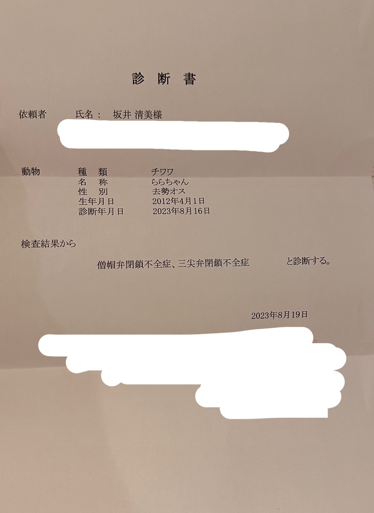 診断書