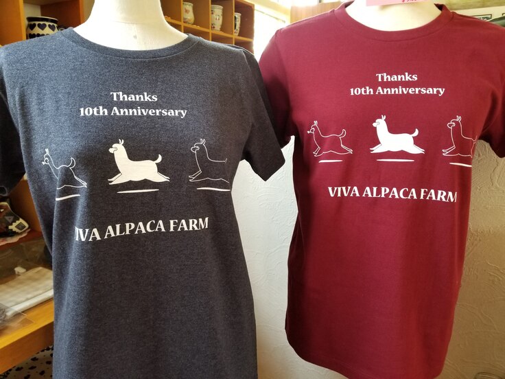 2019年度のTシャツ