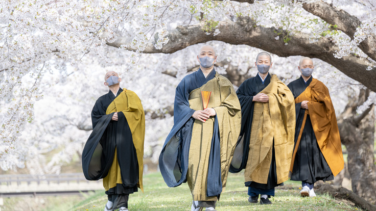 よく見かけるお坊さんの花見