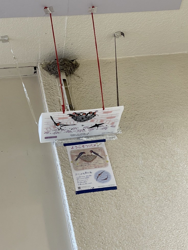 南海電鉄の初芝駅