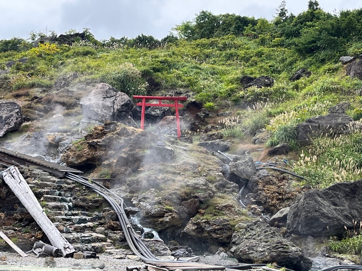 源泉湯滝とススキに囲まれる温泉神社鳥居