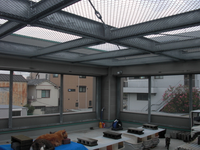 屋根というものはありません