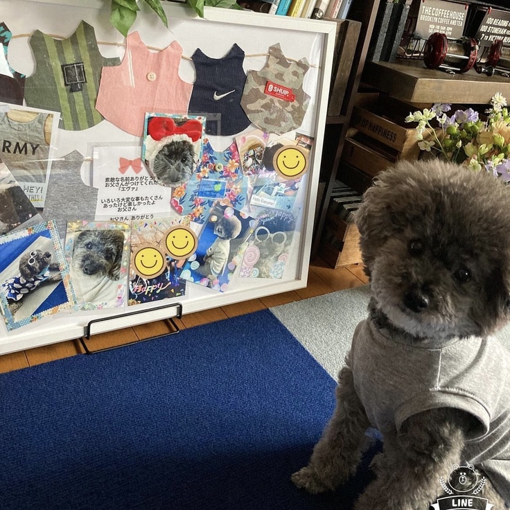 亡くなったパパさんとの思い出が服