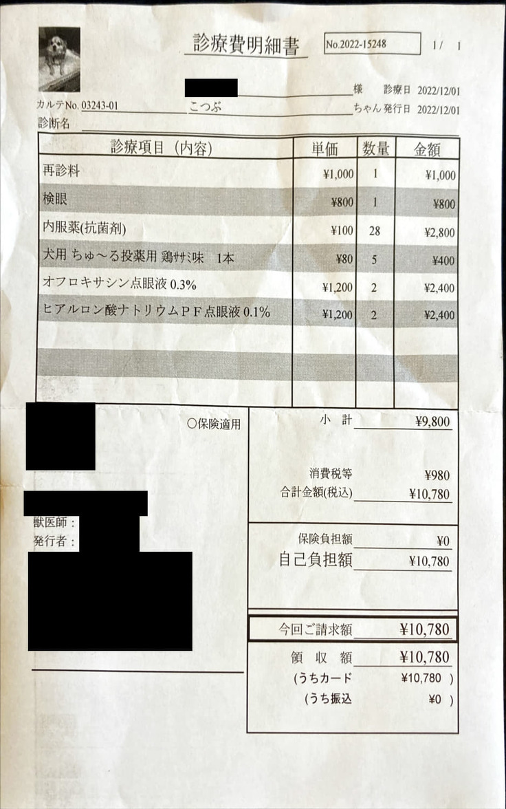 診療費明細書(動物病院)221201_1.jpg