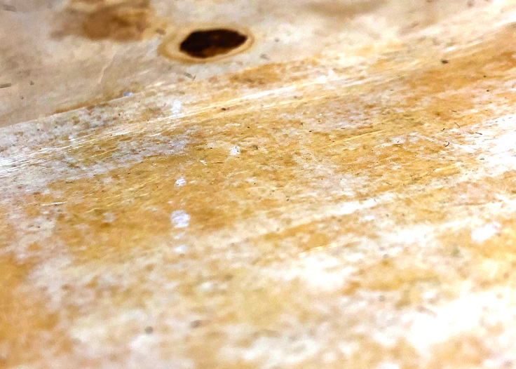 マッシュルームレザー