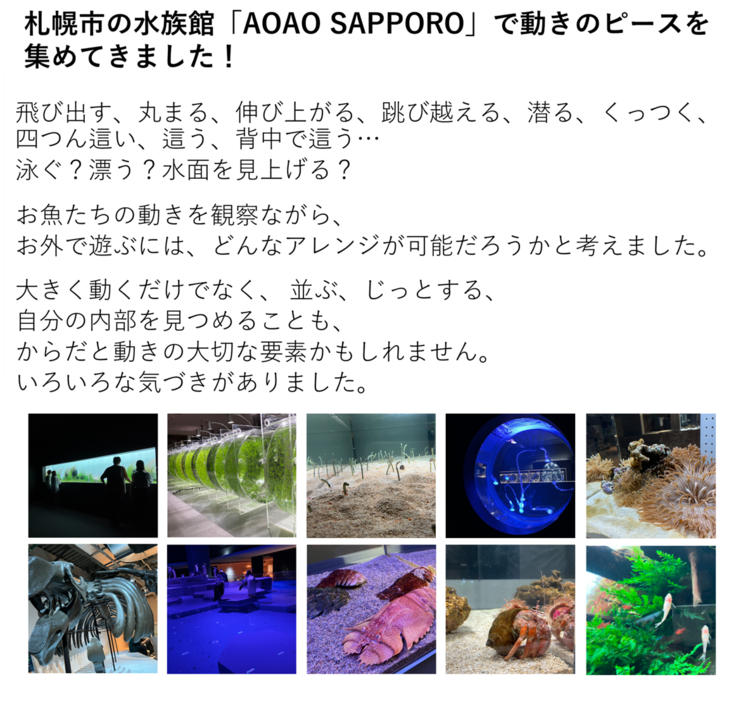 飛び出す、丸まる、伸び上がる、跳び越える、潜る、くっつく、四つん這い、這う、背中で這う…泳ぐ？漂う？水面を見上げる？ お魚たちの動きを観察ながら、 お外で遊ぶには、どんなアレンジが可能だろうかと考えました。 大きく動くだけでなく、 並ぶ、じっとする、自分の内部を見つめることも、からだと動きの大切な要素かもしれません。 いろいろな気づきがありました。