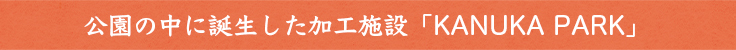 公園の中に誕生したkanukapark