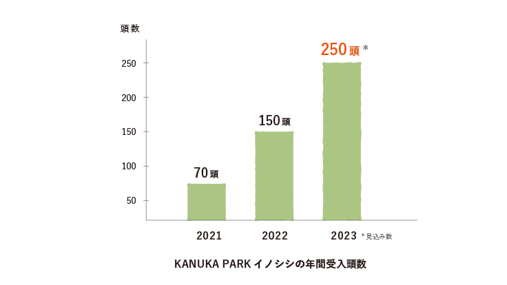 受け入れ頭数推移グラフ