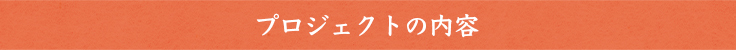 プロジェクトの内容