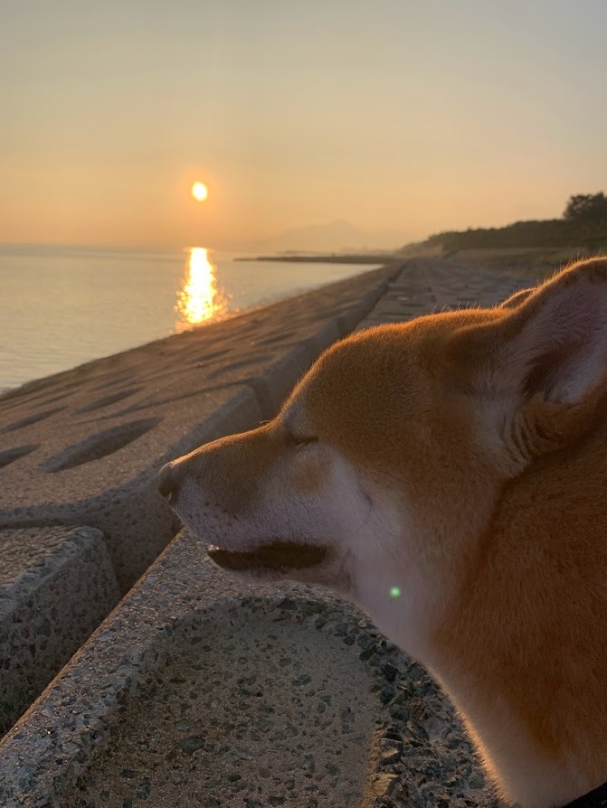 朝日にクラファン成功を祈る