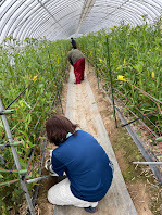 ※本文と画像は関係ありません。