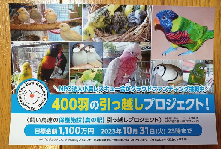 ことりバザール 」と「鳥フェス横浜」で当会のハガキを配布します！ 命