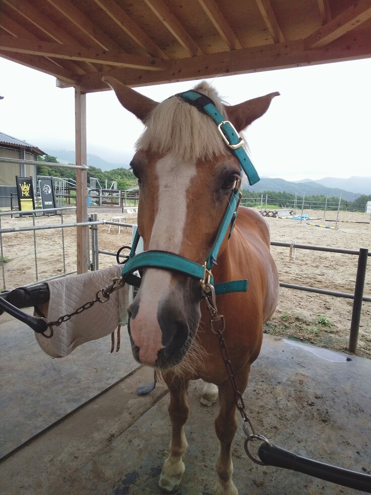 脱走の現行犯で逮捕！