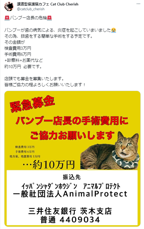 手術費用のご支援をお願いするSNS投稿