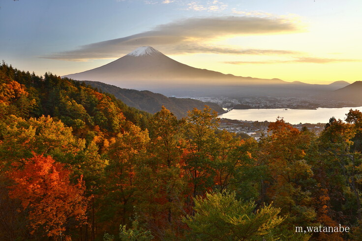 コピー (1) ～ 5L9A9472 (1).JPG