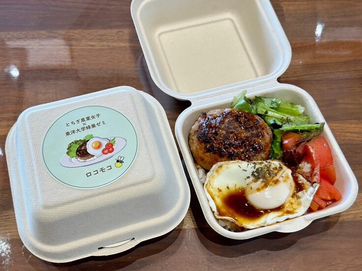 ロコモコワークショップ２