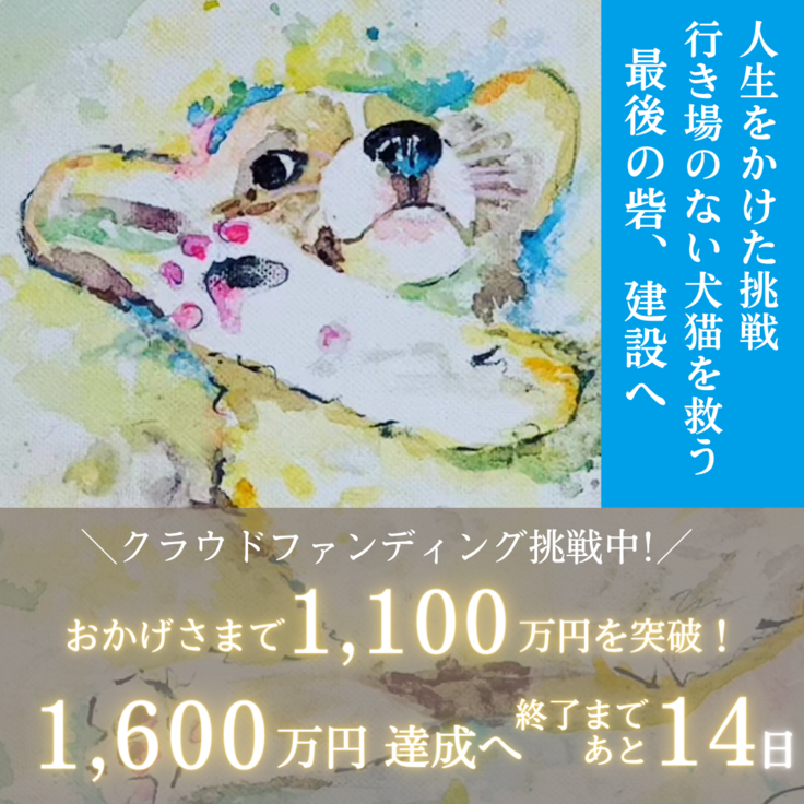 1100万円突破！】あと14日！あと500万円！ここまできたら、なんとして