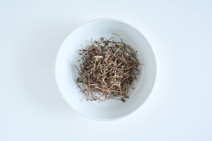 イブキジャコウ