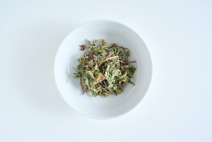 ゲンノショウコ