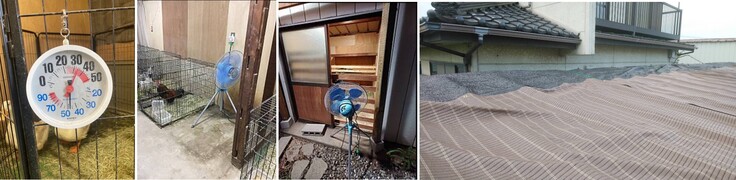 大きい扇風機は会員さんが寄付してくださいました