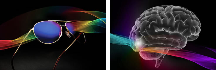 エンクロマ メガネ（サングラス）が脳に与える影響のイメージ画像