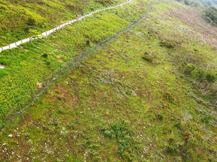 裸地化した伊吹山
