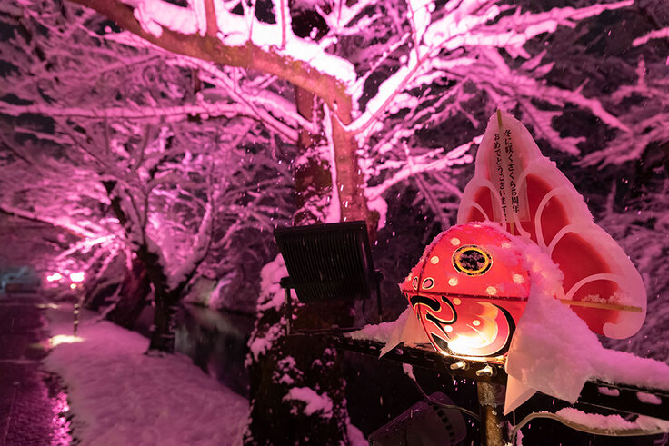 昨年の金魚ねぷた