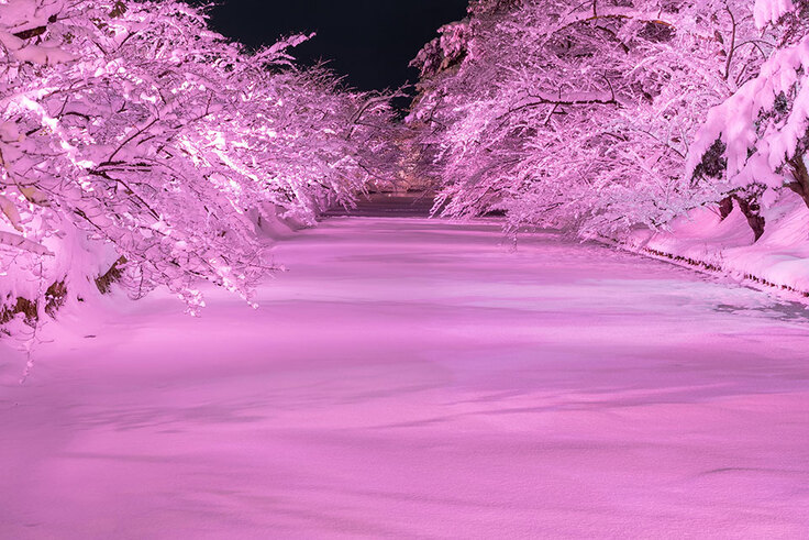 ライトアップの様子2