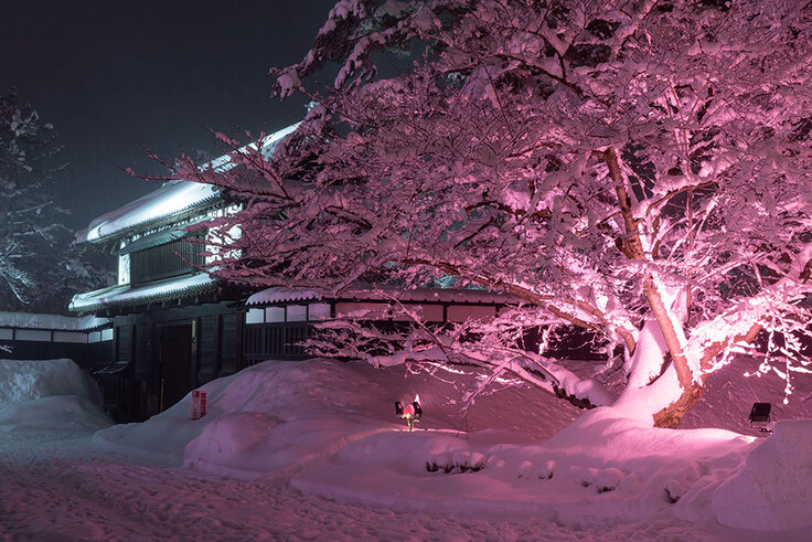 ライトアップの様子3