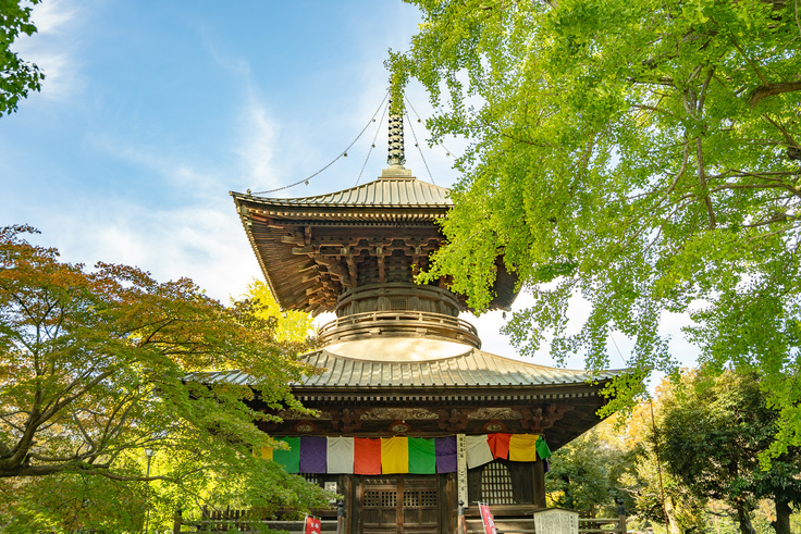 初秋に色づく境内