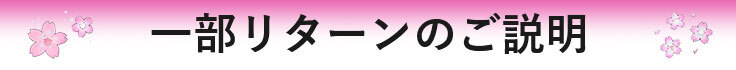 リターン説明