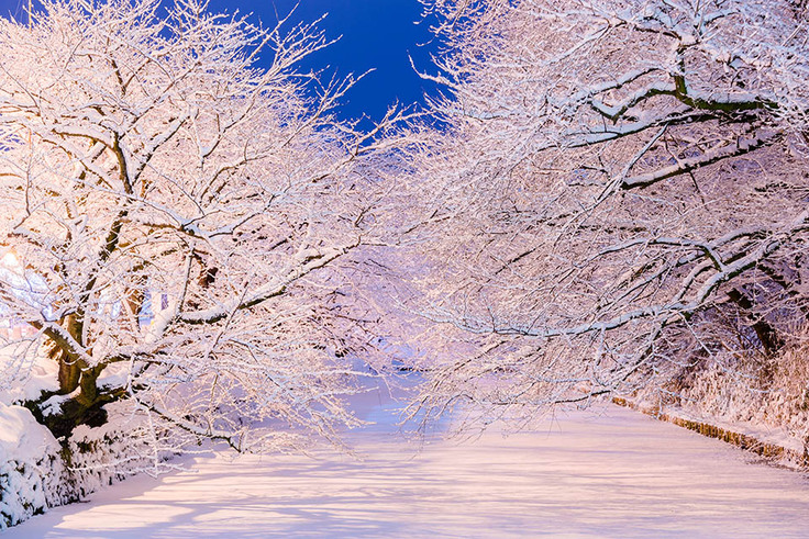 ライトアップ前の長秒露光写真