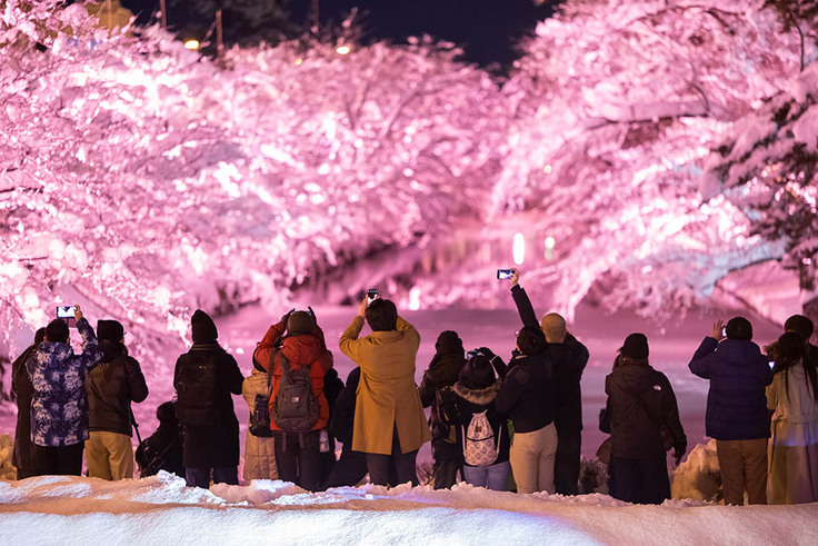 満開のにぎわい